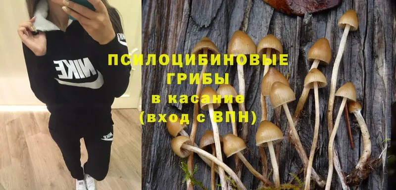 цены   Когалым  Галлюциногенные грибы Magic Shrooms 